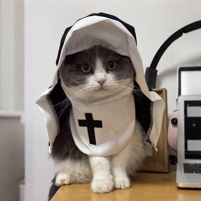 Забавный Хэллоуин Домашний питомец Кошка Собака Костюм монахини Милые кошки Косплей Одежда Переодевание Мягкие дышащие наряды для котят Рождественские подарки