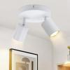 Spot de plafond - NETTLIFE - Spot 2 flammes GU10 - Orientable 350° - Métal blanc - Style moderne