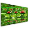 Three Piece Picture Canvas Print Ladybird Grass Drop