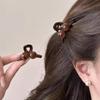Amber Cherry Small Hair Clip for Women, 2024 New Princess Bangs and Shark Clip