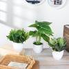 Desktop Ornaments Green Foliage Artificial Plants Bonsai Simulation Flowers Potted Fake Greenery