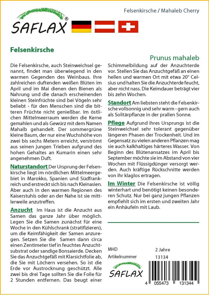 SAFLAX Махалеб Вишня - 30 семян - Prunus mahaleb