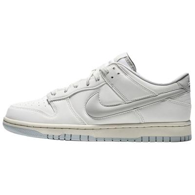 Кроссовки для скейтбординга Nike Dunk Мужские Низкие Белые IM4411-100