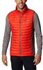 Мужская куртка Powder Pass Vest (1842414) пряный/светлый изюм