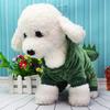 Dog Clothes Dinosaur Transformation Pet Clothes Wholesale Thickened Warm Direct Four-legged Dog Clothes