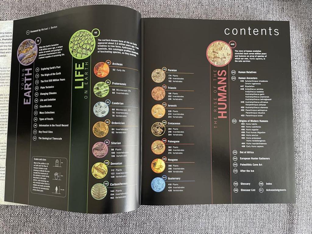 [Б/У] DK Foreign Books Твердый переплет ДОИСТОРИЧЕСКИЙ Твердый переплет