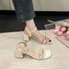 With Skirt Thick Heel Roman Shoes with Sandals Internet Celebrity Fashion Wear Versatile High Heels 2025 Summer and Autumn New