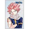 [Новый] Акриловая подставка/акриловая панель 05. Дизайн E Акриловый блок "FAIRY TAIL"