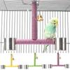 With Feeding Cups Bird Training Stand Easy To Install Wooden Beak Grinding Stick Parakeet