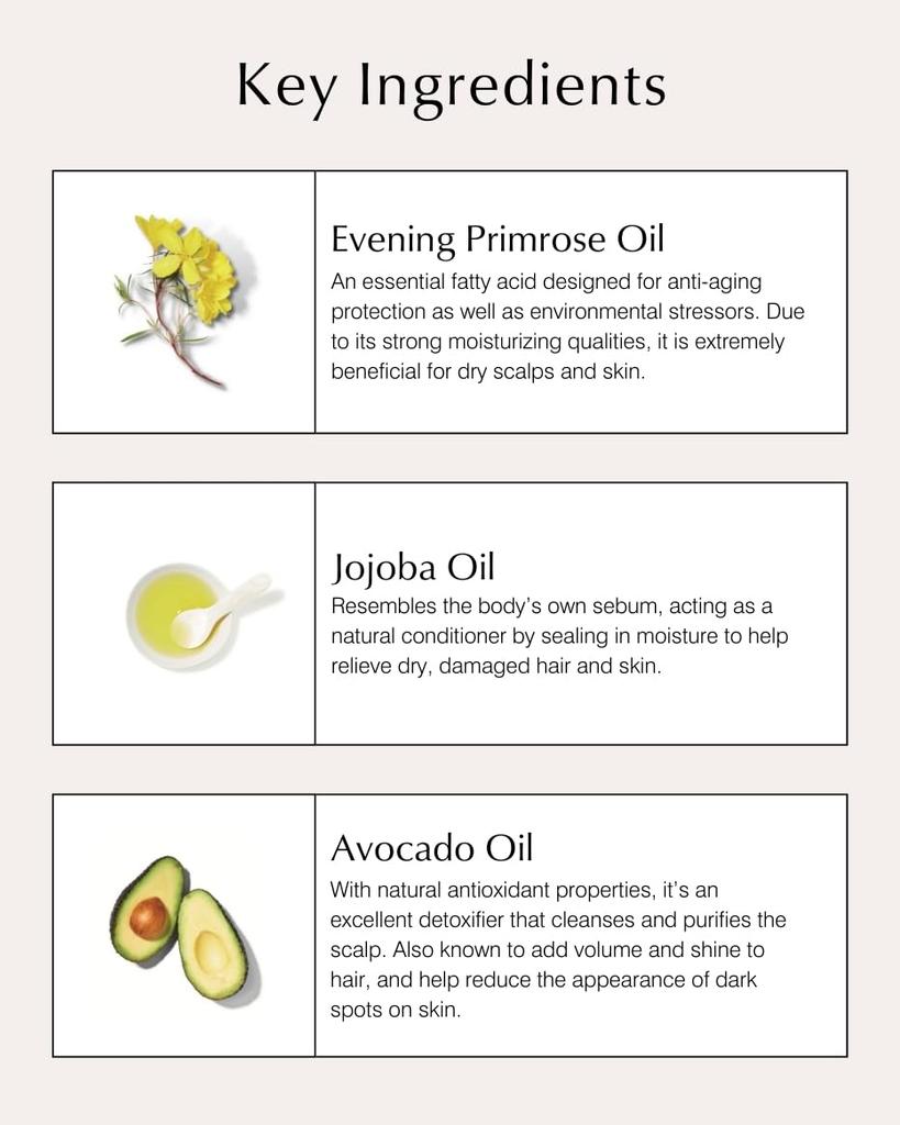 John Masters Organics Вечерний шампунь P N 473 мл (Примула) (х 1)