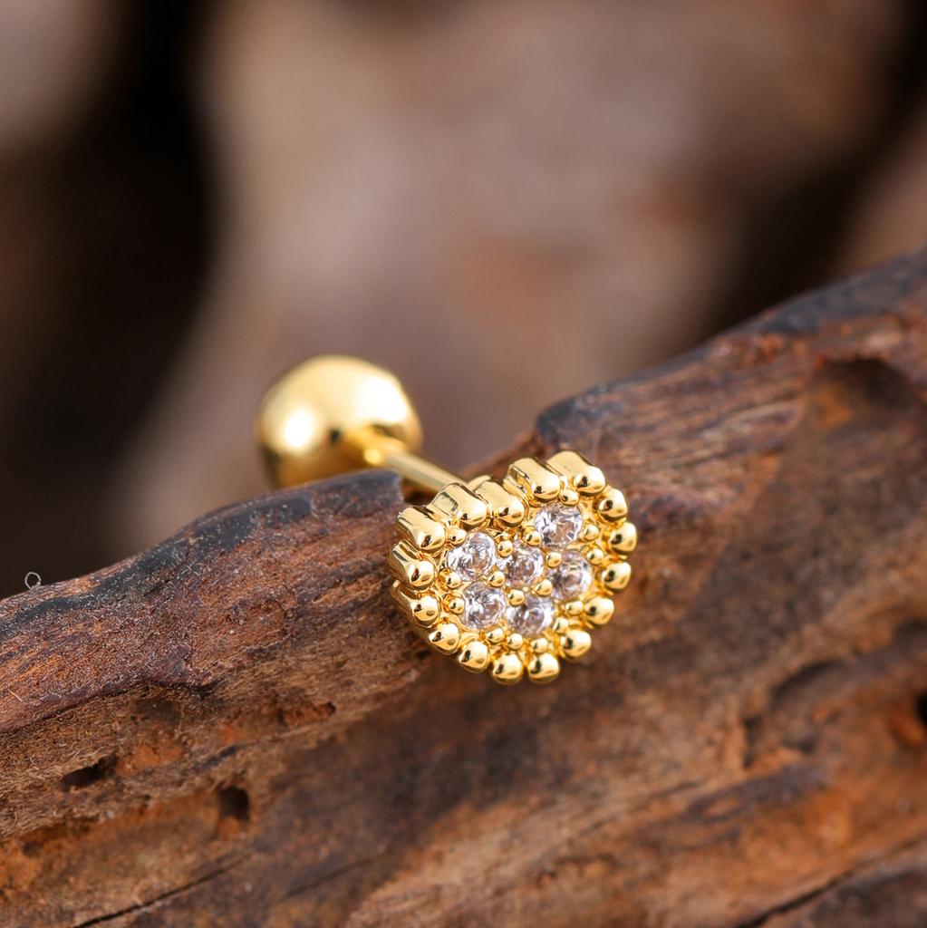 10 шт./набор 20G Золотая серьга-пирсинг хряща уха с CZ, серьга-пирсинг трагуса, дизайн медведя и паука, кольца-гвоздики для хеликса, пирсинг конч уха, ювелирные изделия из стали 316L