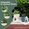 Funny 2-in-1 Indoor Plant Flowerpot with Drainage Hole and Plug, Universal Succulent, Cactus, Desktop Decoration Ornament