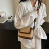 Rainbow Straw Small Bag Women's 2025 Summer New Fashion Shoulder Bag Knot Simple Messenger Bag Beach Bag
