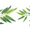 Durable Home Decorations For Wedding Ornaments Garden Bamboo Leaf Plant Leaves Silk Cloth Branches
