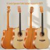 41-Inch Spruce Top Folk Guitar with Rosewood Back and Sides, Beginner Practice Cutaway Style