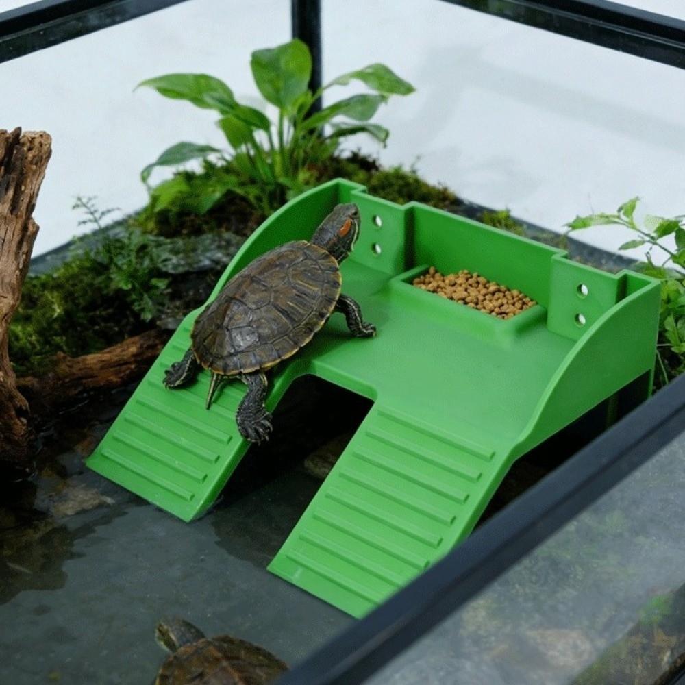 with Suction Cups Turtle Basking Platform Double Ladder Reptile Terrace  Aquatic Turtles
