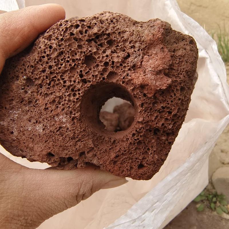 Large Submersible Plant Fixing Ring for Fish Tanks and Aquariums