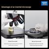 AOSVI Trinocular Inverted Metallurgical Microscope
