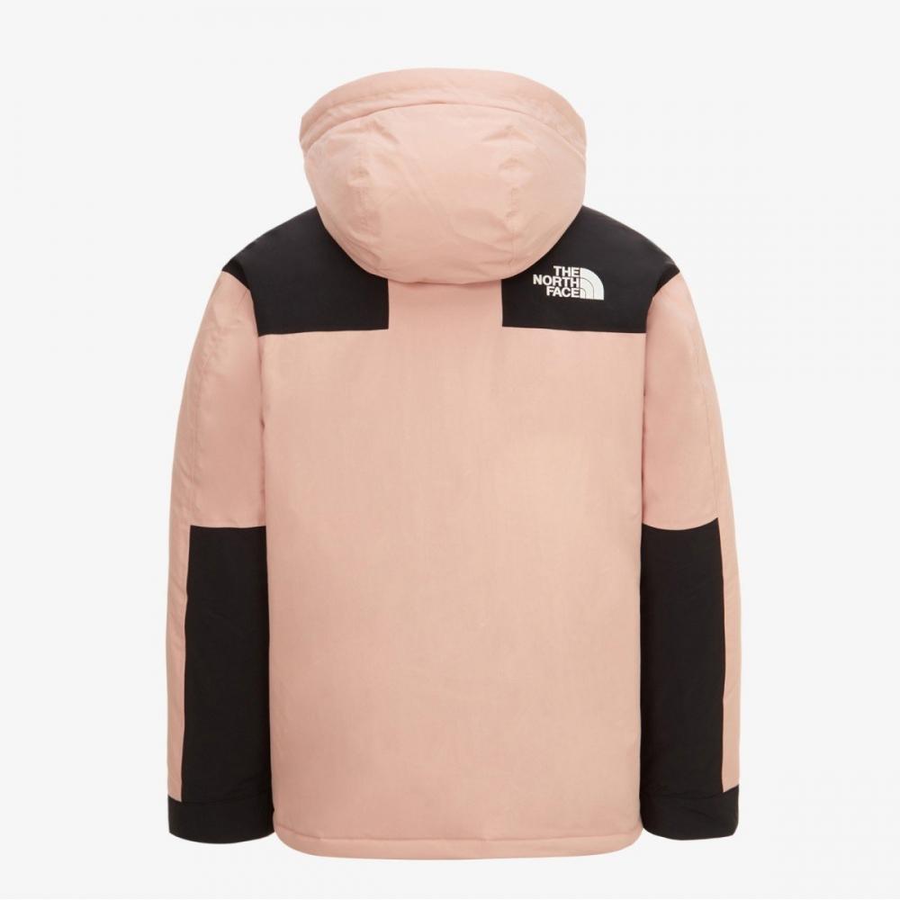 The North Face Мужская горная пуховая куртка rdS Down Nj1dq04d