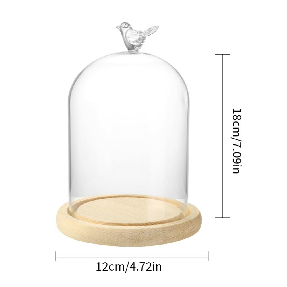 Clear Glass Display Cloche Dome with Bird Handle Wooden Base, Immortal Flower Glass Cover Large Size Office Home Decoration