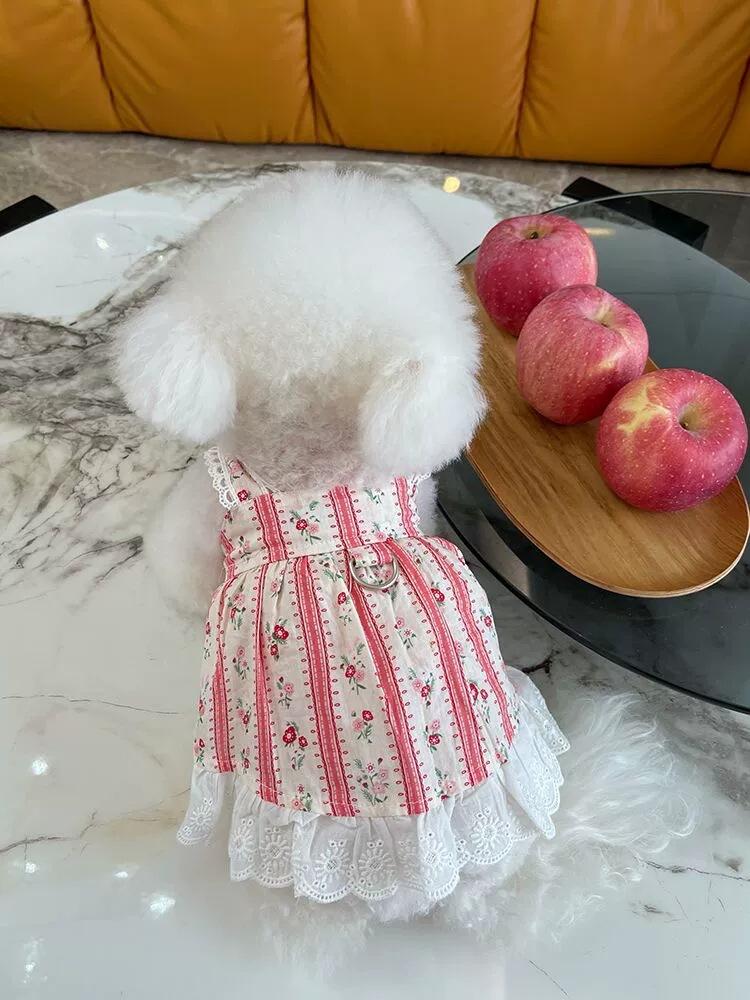 Одежда для домашних животных Весна/лето Новая полосатая кружевная юбка с цветочным принтом Медвежонок Кот Тонкая одежда Одежда для собак для маленьких собак Платье для маленьких собак