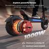iScooter IX5s 11-inch Off-road Electric Scooter, 1000W Motor, 48V15Ah Battery, Max. Speed 45 Km/h, Double Shock Absorption Front and Rear