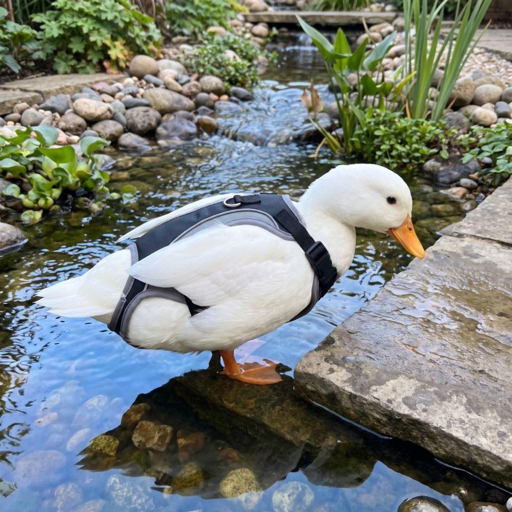 Adjustable Tightness Duck Safety Vest Breathable Chicken Saddle Feather Protection