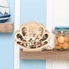 Wooden Shell Display Case Handcrafted Rustic Sea Shell Shadow Box Seashell Shaped Storage Display Box Home Office Desktop Decoration