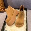 Fashion Winter Platform Thick Bottom Women Ankle Boots Height Increase Women's Shoes Female  Round Toe Zippers Short Booties