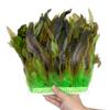 1 Meter Fluffy Natural Rooster Feather Trim Fringe Wedding Decoration Carnival Accessory Sewing Feather Ribbon 15-20 CM