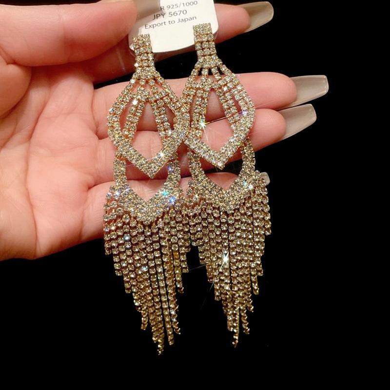 Silver needle metal long fringed earrings niche light luxury high-end earrings fashion versatile temperament earrings women