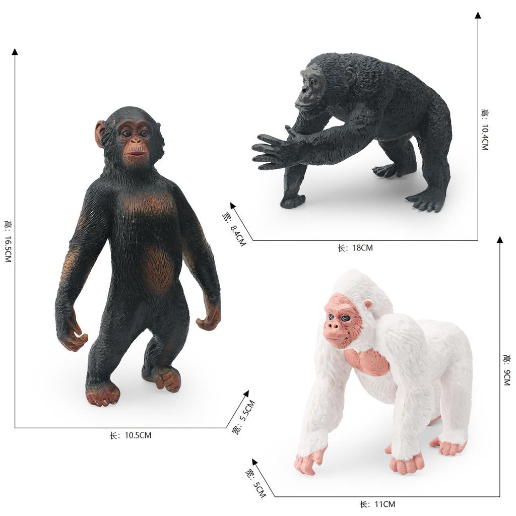 Supply Simulation Forest Animals 3 Types Of Orangutan Model White Orangutan Chimpanzee Solid Static Ornament Toys