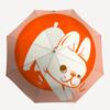 1pc Rabbit Illustration Umbrella with Plastic Handle,Suitable for All Seasons Home Travel Outdoor Umbrellaptys31041