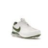 Nike Air Zoom Victory Tour 2 White Treeline Unisex Sneakers Photon-Dust DJ6569-102