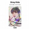 Stray Kids ROCK()-Официальная фотокарточка STAR KMS