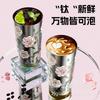 Premium Titanium Insulated Tumbler With Straw Carry Strap 520ml Men Women Office Travel