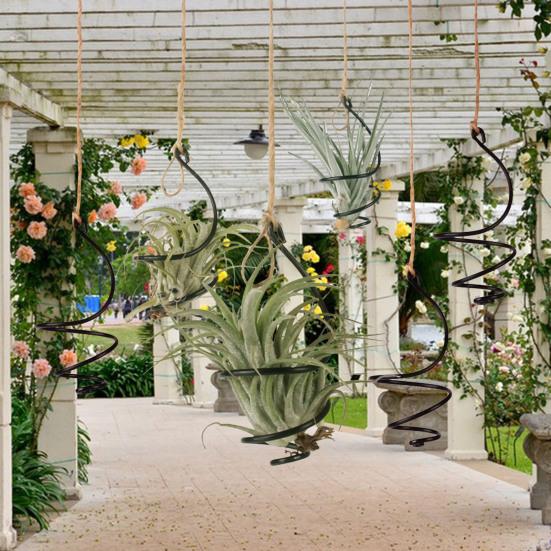 6 шт. держатель для воздушных растений металлический подвесной контейнер для тилландсии регулируемый вихревой воздух