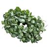 VEVOR Artificial Decorative Wreath, 26 in, Green, Decorated with Eucalyptus Leaves, Berries, Thorny Stems
