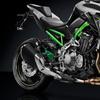 ДЛЯ Kawasaki Z900 Z 900 2023 2022 2018 2017 Мотоцикл Левая Правая пластина Крышка крыла Задняя педаль Защита пятки