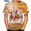 Summer Round Neck Creative Animal Horse Pattern 3D Print Top Fashionable Casual Short Sleeved Men's T-shirts