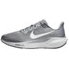 Pegasus 41 Cool Grey Wolf Grey Pure Platinum White FD2722-009
