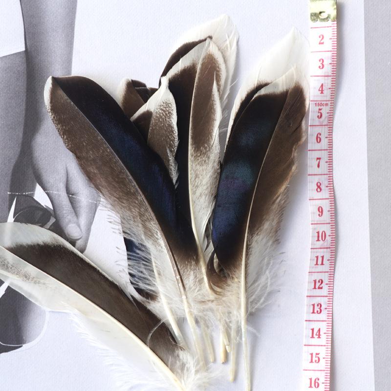 Original Color Pheasant Feathers ,Duck Emerald Feathers ,Handmade Crafts ,Indian Headdress Decoration Materials