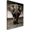 Canvas Print, Elephant XXL On the Savannah