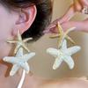 Silver Needle Raffia Star Stud Earrings Seaside Vacation Style
