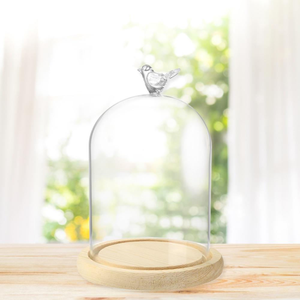 Clear Glass Display Cloche Dome with Bird Handle Wooden Base, Immortal Flower Glass Cover Large Size Office Home Decoration