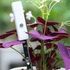 Intelligent Soil Moisture Tester Universal Mini Soil Hygrometer Plant Watering Alarm Home Gardening Planting