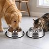 Anti-tip Dog Feeder Rustproof Pet Drinking Bowl Smooth Surface Pet Dinner Bowl  Pet Dining Use