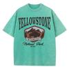 Woman Cotton Washed T-Shirts All-Math O-Neck Distressed Short Sleeve The Bison In Yellowstone Park Printing Tops Summer Clothes