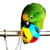 New Pet Bird Bites Toy Parrot Chew Ball For Parrots Swing Cage Hanging Cockatiel brinquedos  Supplies