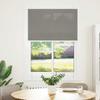 Pleated Blind Anthracite 95 x 100 cm Fabric Width 94.4 cm Polyester